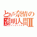 とある奈情の透明人間Ⅱ（インビシブル）