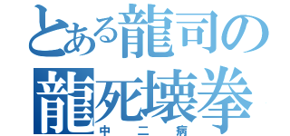 とある龍司の龍死壊拳（中二病）