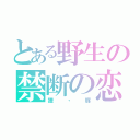 とある野生の禁断の恋（狸・豚）