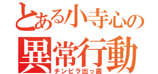 とある小寺心の異常行動（チンピラ出っ歯）