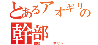 とあるアオギリの幹部（霧島    アヤト）