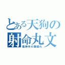 とある天狗の射命丸文（風神木の葉隠れ）