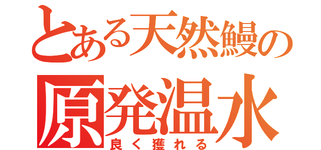 とある天然鰻の原発温水（良く獲れる）