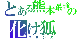 とある熊本最強の化け狐（スザンヌ）