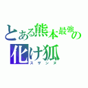 とある熊本最強の化け狐（スザンヌ）