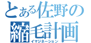 とある佐野の縮毛計画（イマジネーション）