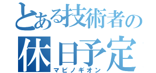 とある技術者の休日予定（マビノギオン）