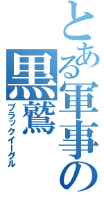 とある軍事の黒鷲（ブラックイーグル）