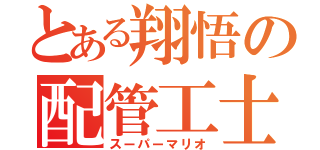 とある翔悟の配管工士（スーパーマリオ）