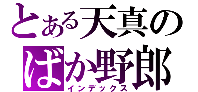 とある天真のばか野郎（インデックス）