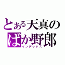 とある天真のばか野郎（インデックス）