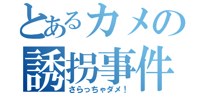 とあるカメの誘拐事件（さらっちゃダメ！）