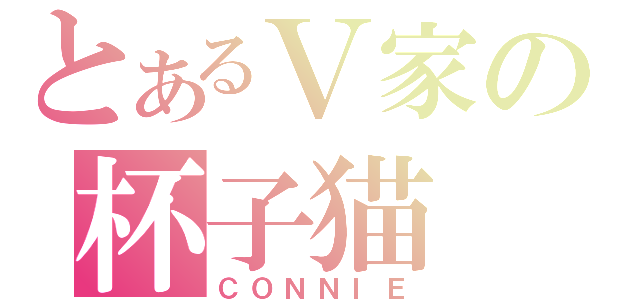 とあるＶ家の杯子猫（ＣＯＮＮＩＥ）