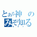 とある神のみぞ知る（セカイ）