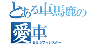 とある車馬鹿の愛車（５５５フォレスター）