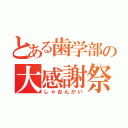 とある歯学部の大感謝祭（しゃおんかい）