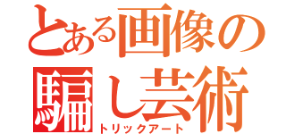 とある画像の騙し芸術（トリックアート）