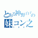 とある神野白子の妹コン之路（１８Ｘ）