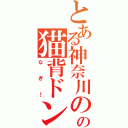 とある神奈川のの猫背ドンだー（なぎ！）