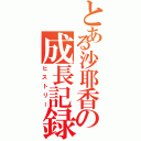 とある沙耶香の成長記録（ヒストリー）