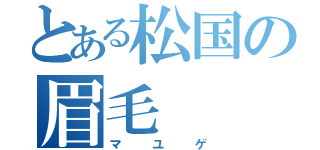 とある松国の眉毛（マユゲ）