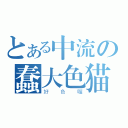 とある中流の蠢大色猫（好色喔）