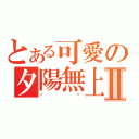 とある可愛の夕陽無上限Ⅱ（喵喵）