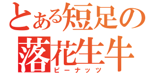 とある短足の落花生牛酪（ピーナッツ）