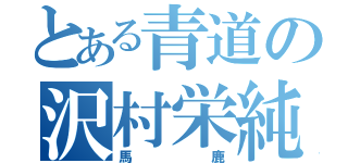 とある青道の沢村栄純（馬鹿）