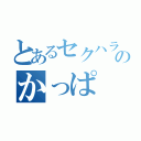 とあるセクハラ妖怪のかっぱ（）