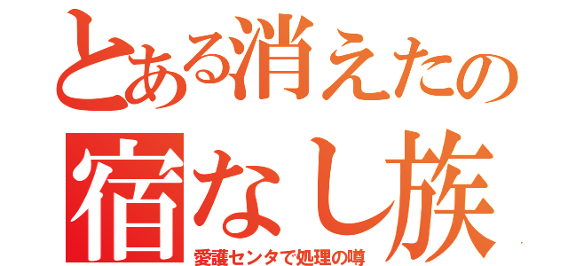 とある消えたの宿なし族（愛護センタで処理の噂）