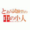 とある試験管の中の小人（ホムンクルス）