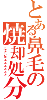 とある鼻毛の焼却処分（ふぁいやぁぁぁぁぁぁ）