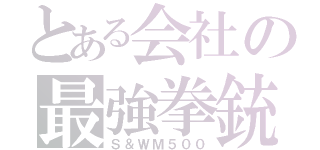 とある会社の最強拳銃（Ｓ＆ＷＭ５００）