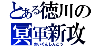 とある徳川の冥軍新攻（めいぐんしんこう）