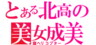 とある北高の美女成美（腹ヘリコプター）