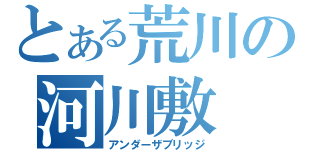 とある荒川の河川敷（アンダーザブリッジ）