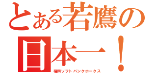 とある若鷹の日本一！（福岡ソフトバンクホークス）