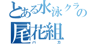 とある水泳クラブの尾花組（バカ）