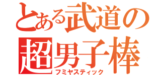 とある武道の超男子棒（フミヤスティック）