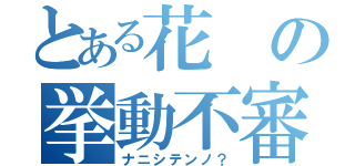 とある花の挙動不審（ナニシテンノ？）