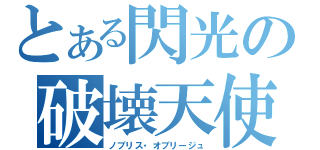 とある閃光の破壊天使（ノブリス・オブリージュ）