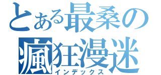 とある最桑の瘋狂漫迷（インデックス）