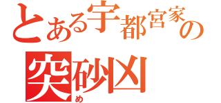 とある宇都宮家の突砂凶（め）