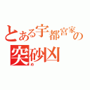 とある宇都宮家の突砂凶（め）