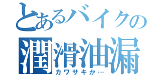 とあるバイクの潤滑油漏（カワサキか…）