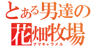 とある男達の花畑牧場（ナマキャラメル）