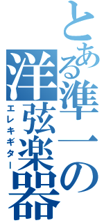 とある準一の洋弦楽器（エレキギター）