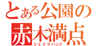 とある公園の赤木満点（シェイクハンド）