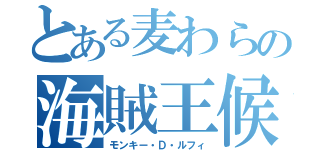 とある麦わらの海賊王候補（モンキー・Ｄ・ルフィ）